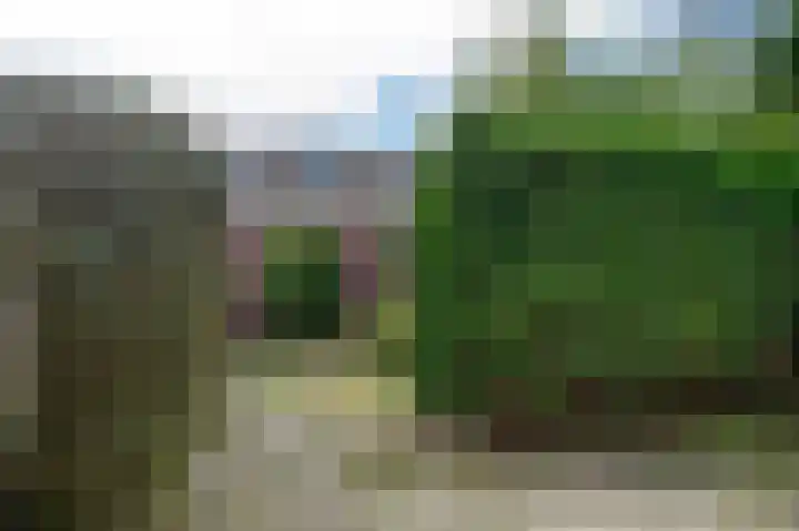 Boogschutter 50 Hoogezand thumbnail 6