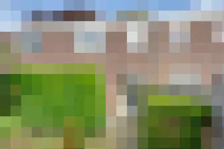 Boogschutter 50 Hoogezand thumbnail 8