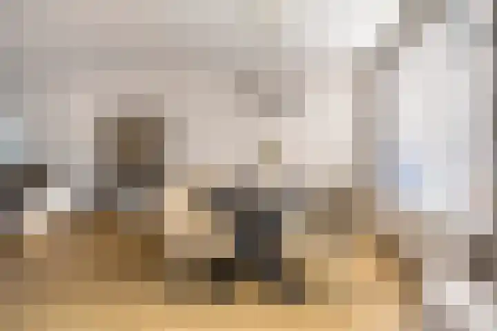 Boogschutter 51 Hoogezand thumbnail 10
