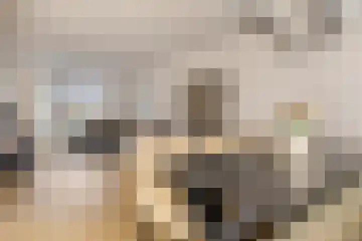 Boogschutter 51 Hoogezand thumbnail 11