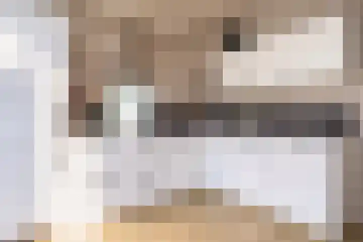 Boogschutter 51 Hoogezand thumbnail 12