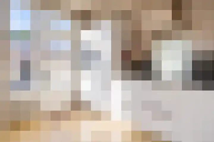 Boogschutter 51 Hoogezand thumbnail 14