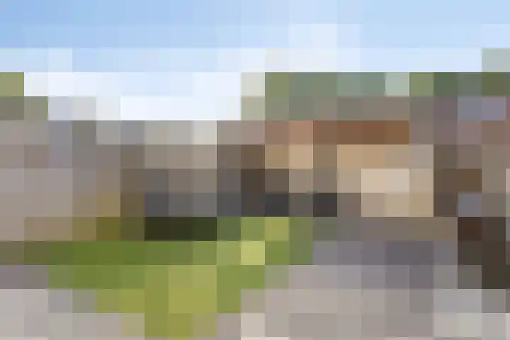 Boogschutter 51 Hoogezand thumbnail 29