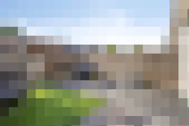 Boogschutter 51 Hoogezand thumbnail 30
