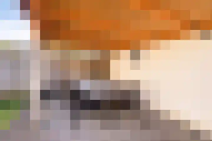 Boogschutter 51 Hoogezand thumbnail 31