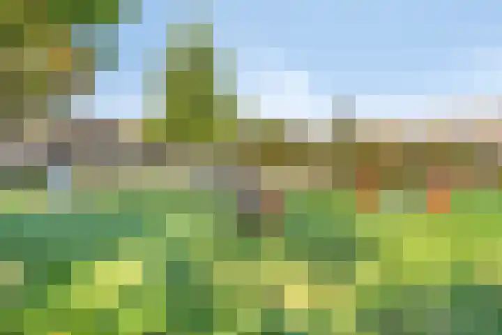 Boogschutter 51 Hoogezand thumbnail 34