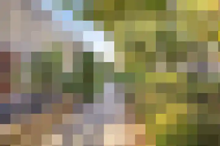 Boogschutter 51 Hoogezand thumbnail 35