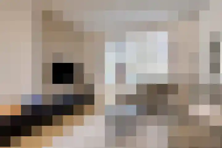 Boogschutter 51 Hoogezand thumbnail 7