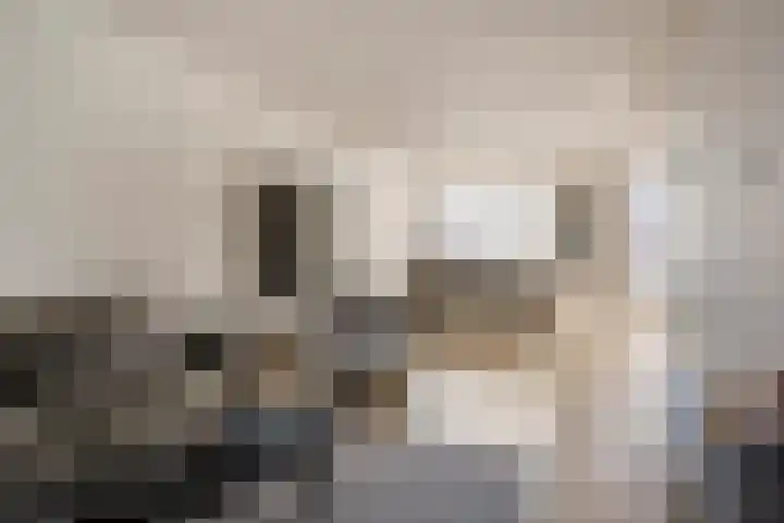 Boogschutter 51 Hoogezand thumbnail 8