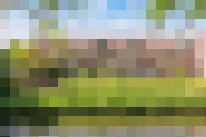 Boogschutter 6 in Amstelveen