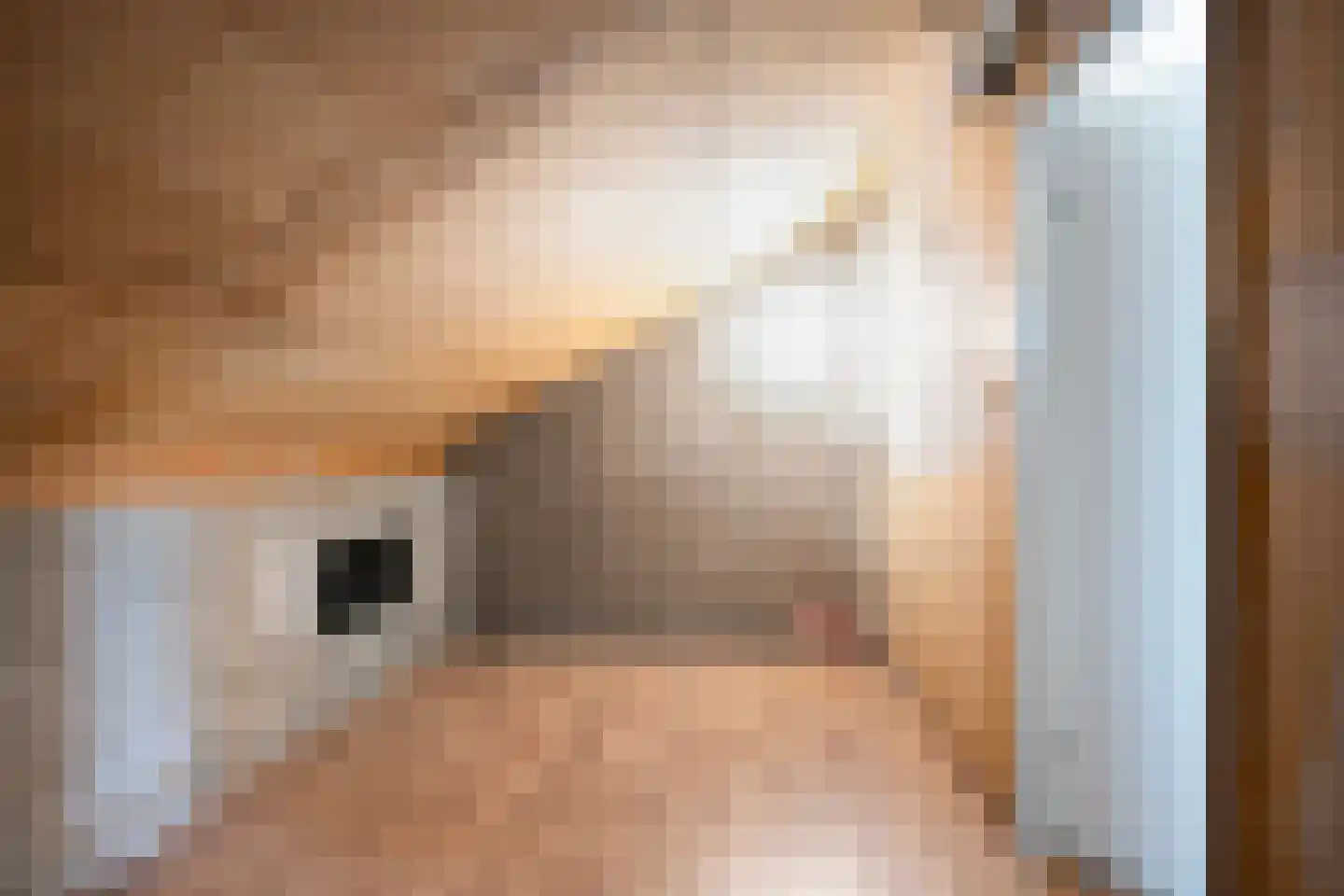 Boogschutter 60 Hoorn thumbnail 23