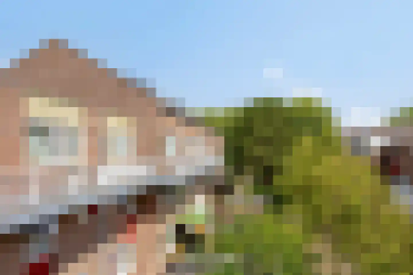 Boogschutter 60 Hoorn thumbnail 24