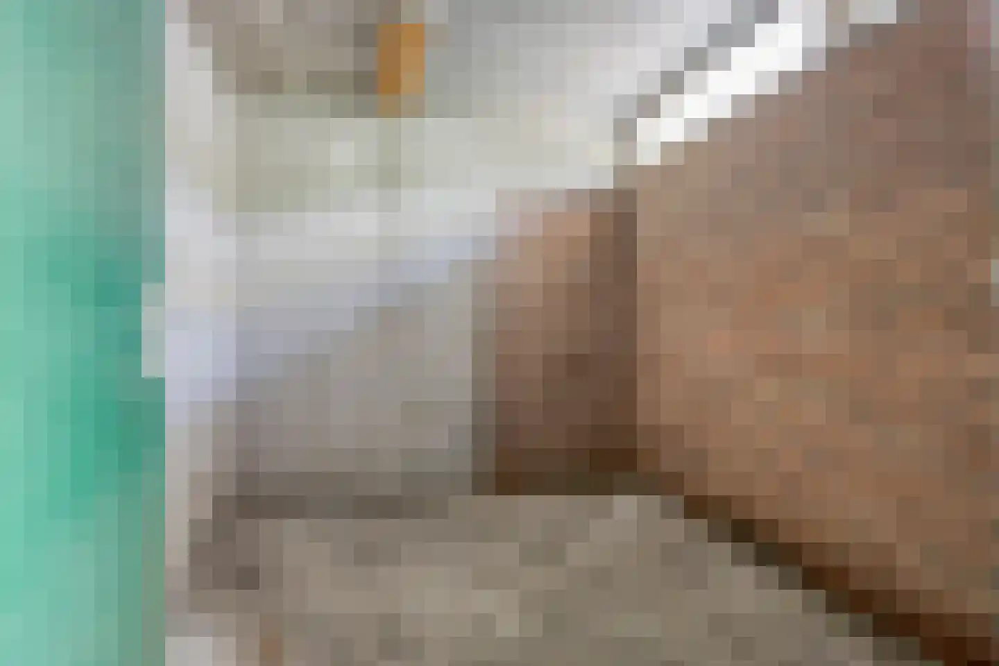 Boogschutter 60 Hoorn thumbnail 25