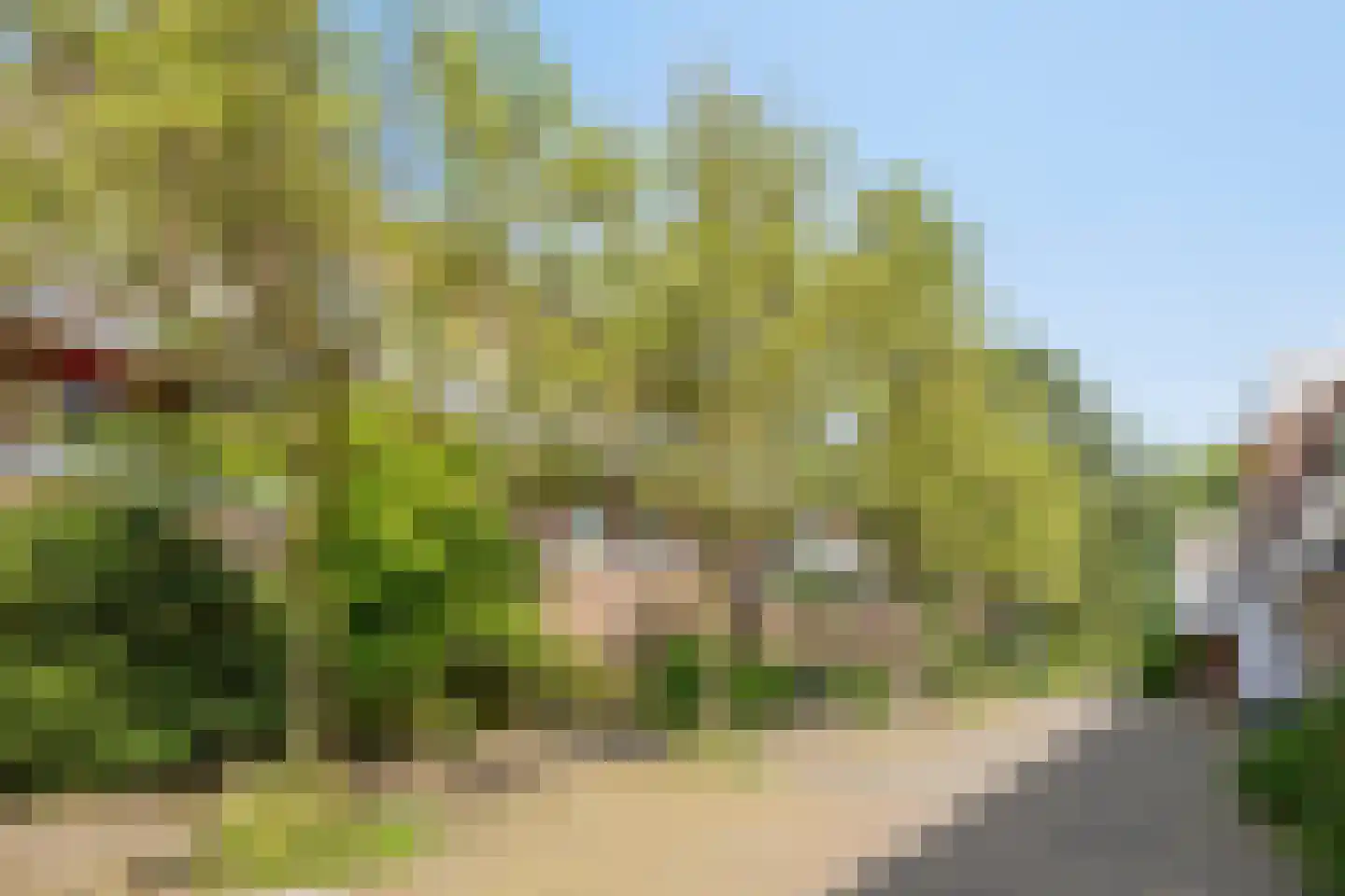 Boogschutter 60 Hoorn thumbnail 26
