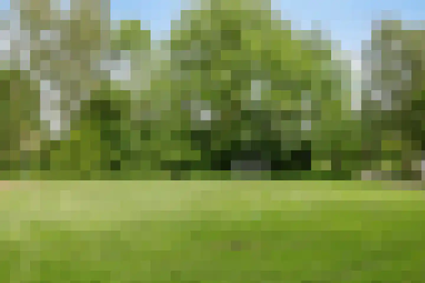 Boogschutter 60 Hoorn thumbnail 27