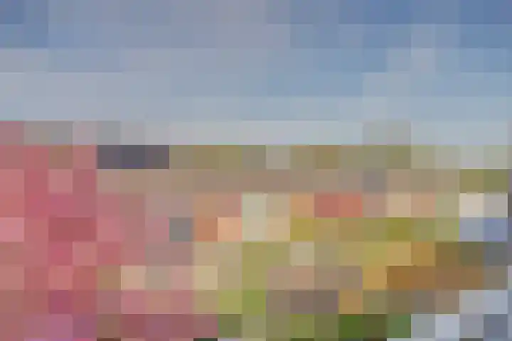 Boogschutter 67 Hoorn thumbnail 34