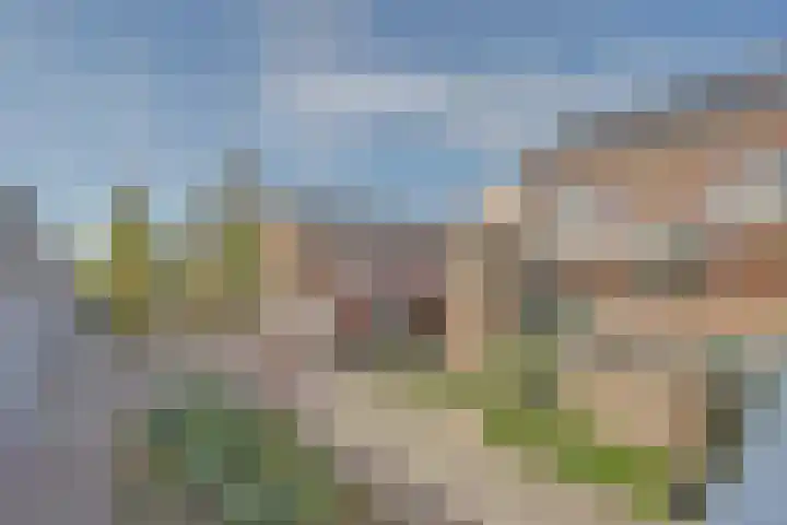 Boogschutter 67 Hoorn thumbnail 36