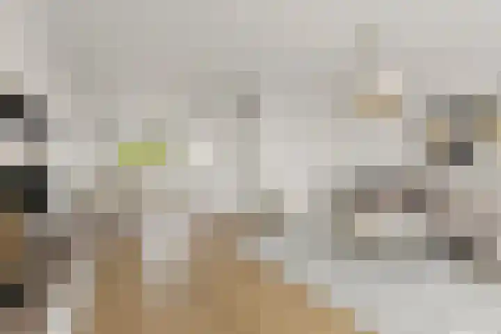 Boogschutter 74 Hoorn thumbnail 12