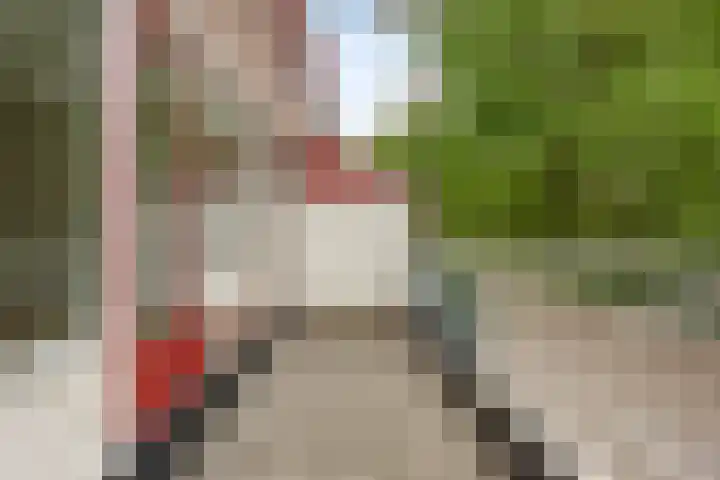 Boogschutter 74 Hoorn thumbnail 14
