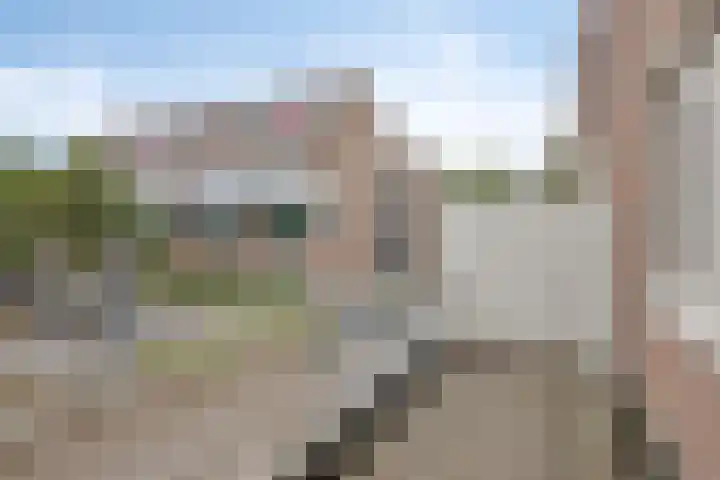 Boogschutter 74 Hoorn thumbnail 19