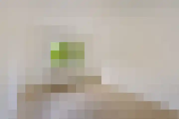 Boogschutter 74 Hoorn thumbnail 24