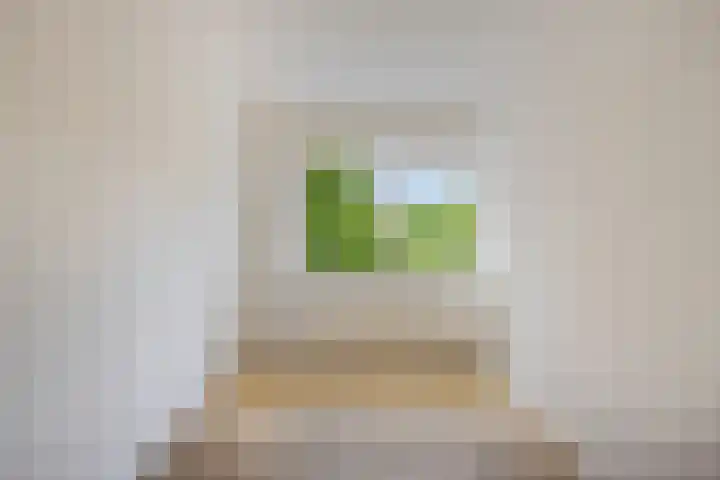 Boogschutter 74 Hoorn thumbnail 29