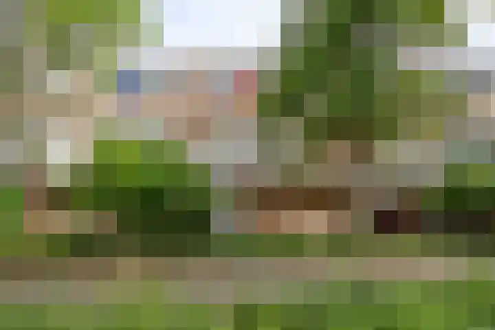 Boogschutter 74 Hoorn thumbnail 37