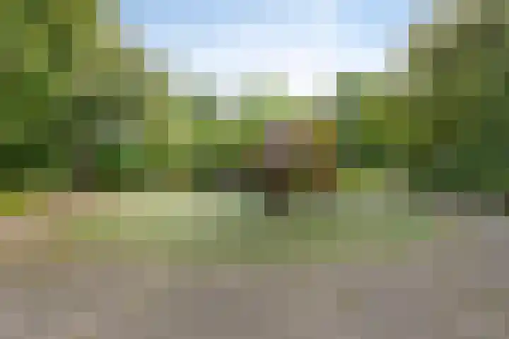 Boogschutter 74 Hoorn thumbnail 38