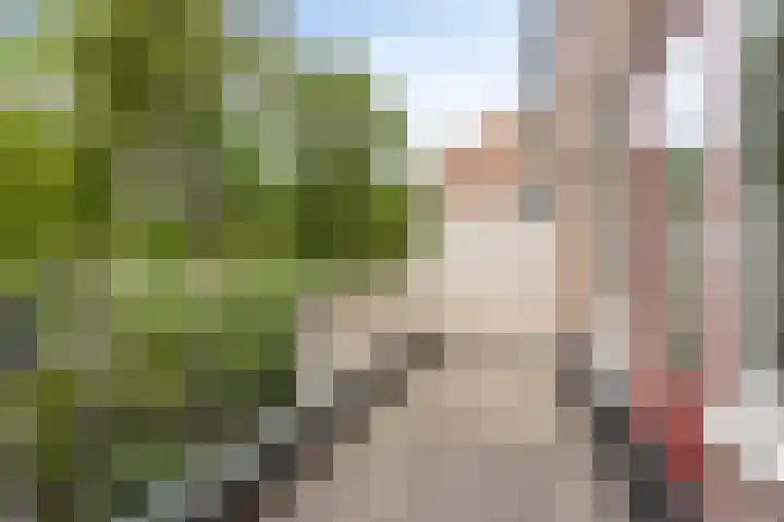 Boogschutter 74 Hoorn thumbnail 5