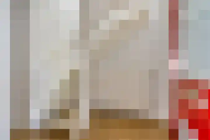 Boogschutter 74 Hoorn thumbnail 6