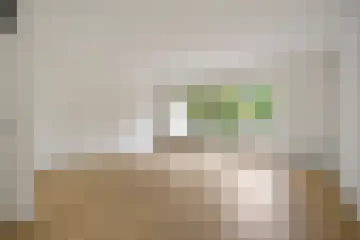 Boogschutter 74 Hoorn thumbnail 7