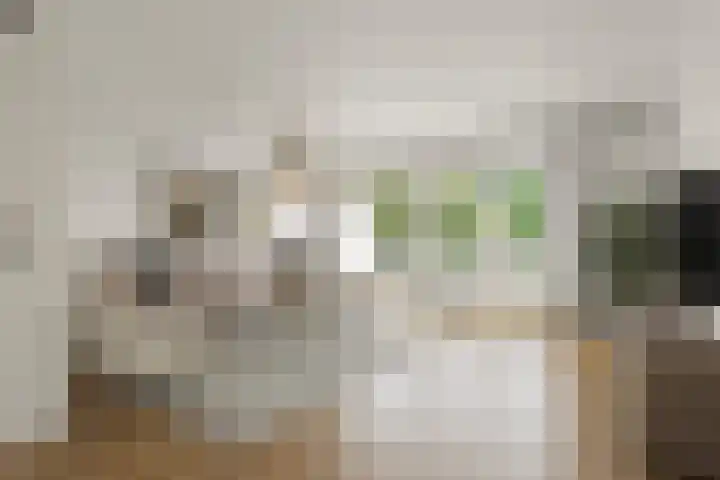 Boogschutter 74 Hoorn thumbnail 8