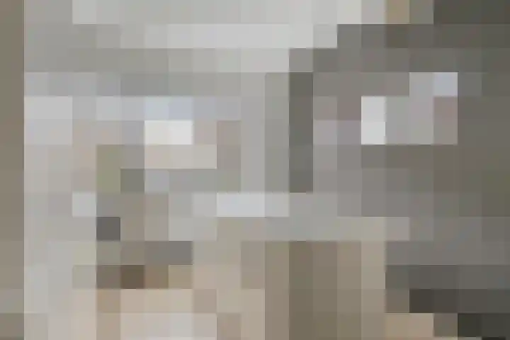 Boogschutter 89 Hoorn thumbnail 10