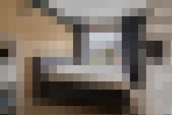 Boogschutter 89 Hoorn thumbnail 13