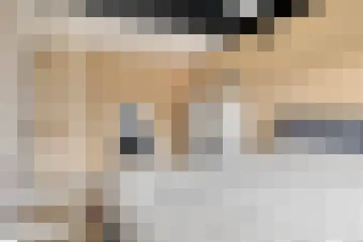 Boogschutter 89 Hoorn thumbnail 14