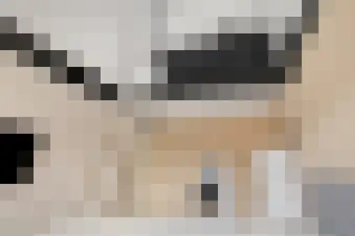 Boogschutter 89 Hoorn thumbnail 15