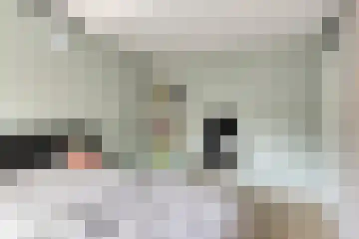 Boogschutter 89 Hoorn thumbnail 18
