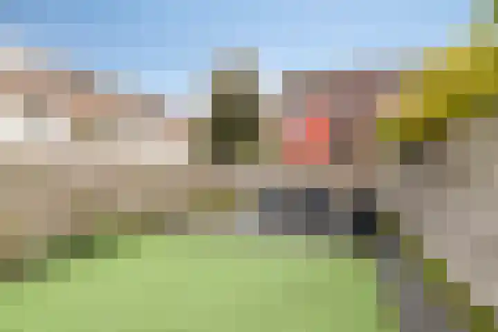 Boogschutter 89 Hoorn thumbnail 21