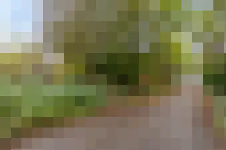Boogschutter 89 Hoorn thumbnail 23