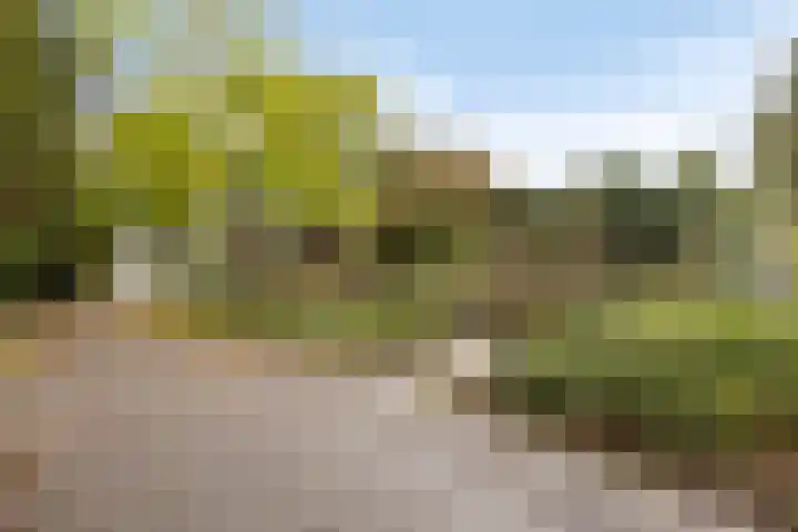 Boogschutter 89 Hoorn thumbnail 24