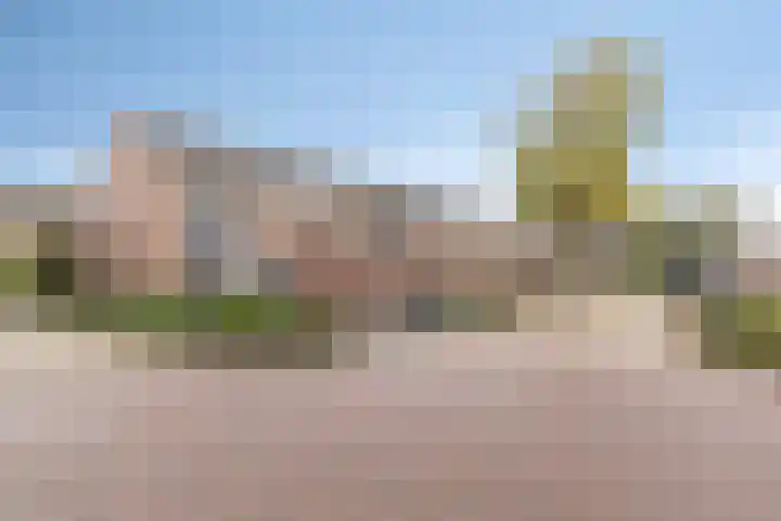 Boogschutter 89 Hoorn thumbnail 4