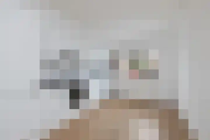 Boogschutter 91 Hoorn thumbnail 11