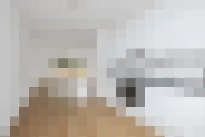 Boogschutter 91 Hoorn thumbnail 13