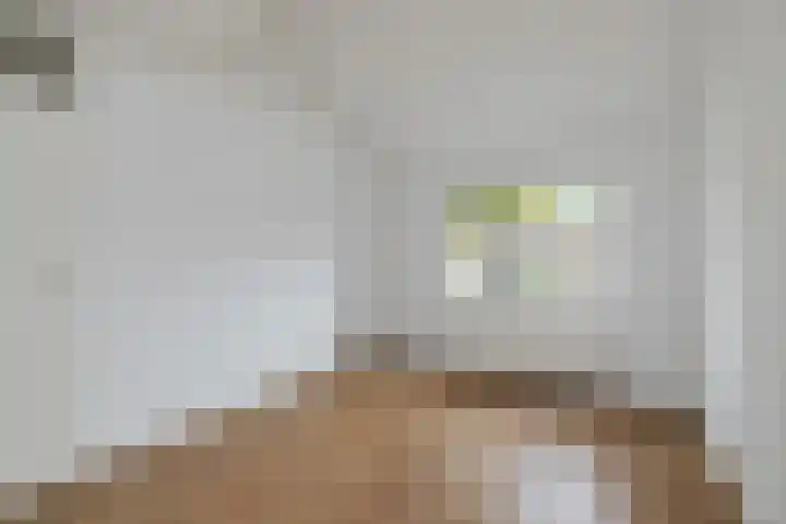 Boogschutter 91 Hoorn thumbnail 22