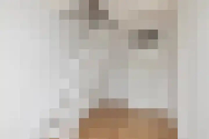Boogschutter 91 Hoorn thumbnail 25