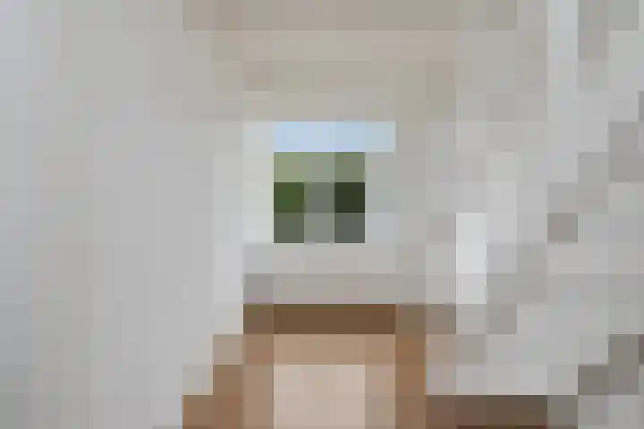 Boogschutter 91 Hoorn thumbnail 26