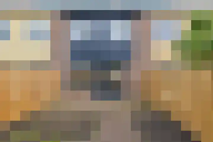 Boogschutter 91 Hoorn thumbnail 37