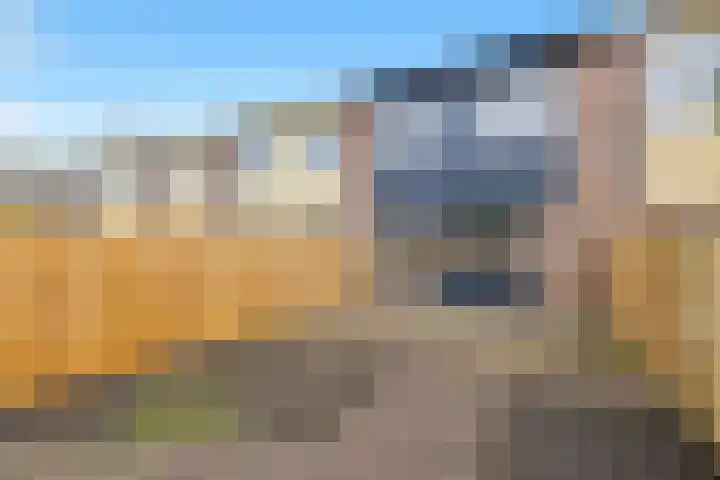 Boogschutter 91 Hoorn thumbnail 38