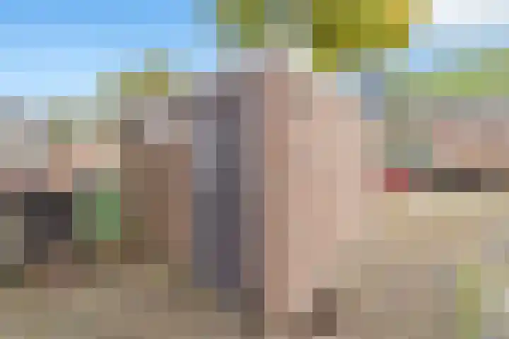 Boogschutter 91 Hoorn thumbnail 39