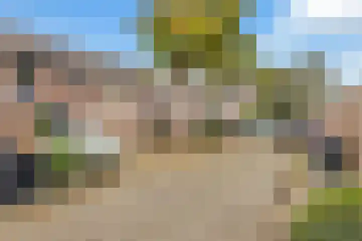 Boogschutter 91 Hoorn thumbnail 7